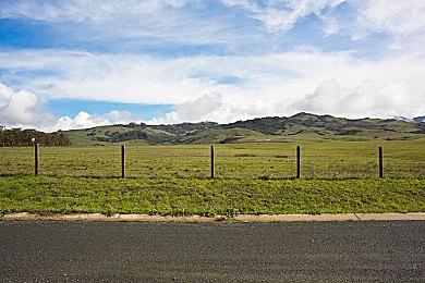 《极限竞速：地平线5》新情报 捏人时可选择义肢